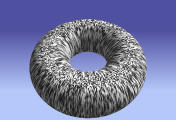 torus_not_normalized